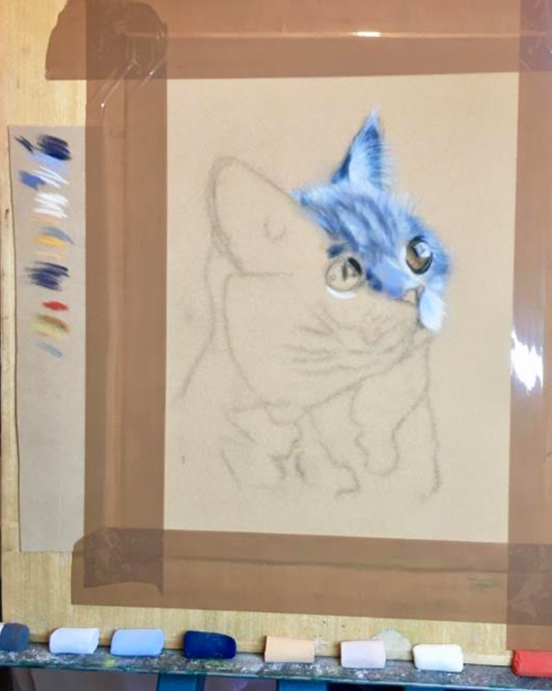 choosing colours pastel painting of cat