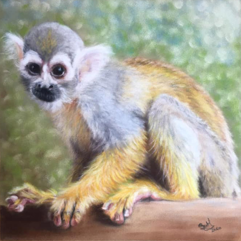 squirrel monkey painting on velour paper